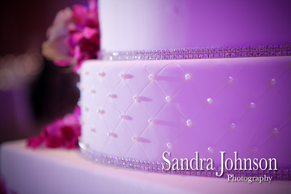 Best Ritz Carlton Wedding photographer - Sandra Johnson (SJFoto.com)